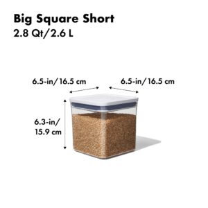 OXO Good Grips POP Containers - Airtight Food Storage Bundle - Big Square Tall 6.0 Qt and 2.8 Qt