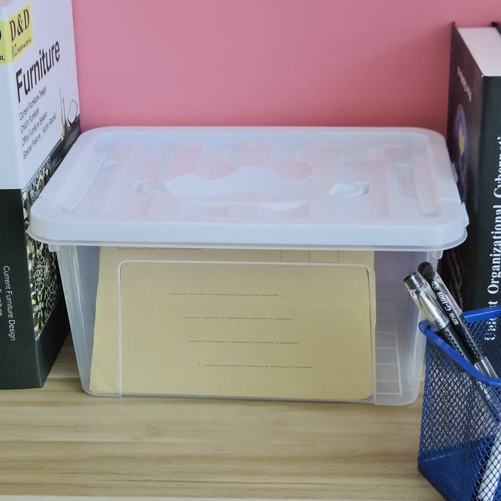 Inhouse 2 Pack Storage Box with Lid, Small Clear Plastic Storage Bin