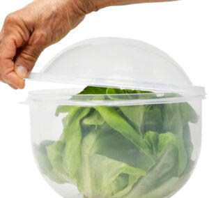 lettuce keeper | vegetable and fruit crisper | lettuce crisper salad keeper container keeps your salads and vegetables crisp and fresh-7" x 8"- by home-x