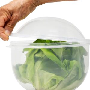 Lettuce Keeper | Vegetable and Fruit Crisper | Lettuce Crisper Salad Keeper Container Keeps your Salads and Vegetables Crisp and Fresh-7" X 8"- by Home-X