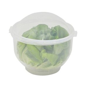 Lettuce Keeper | Vegetable and Fruit Crisper | Lettuce Crisper Salad Keeper Container Keeps your Salads and Vegetables Crisp and Fresh-7" X 8"- by Home-X