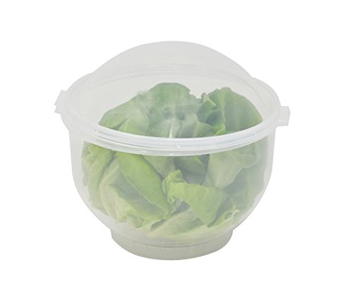 Lettuce Keeper | Vegetable and Fruit Crisper | Lettuce Crisper Salad Keeper Container Keeps your Salads and Vegetables Crisp and Fresh-7" X 8"- by Home-X