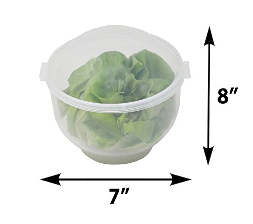 Lettuce Keeper | Vegetable and Fruit Crisper | Lettuce Crisper Salad Keeper Container Keeps your Salads and Vegetables Crisp and Fresh-7" X 8"- by Home-X