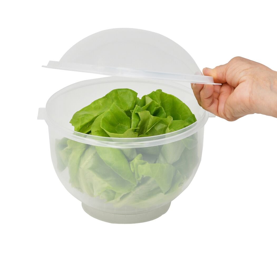 Lettuce Keeper | Vegetable and Fruit Crisper | Lettuce Crisper Salad Keeper Container Keeps your Salads and Vegetables Crisp and Fresh-7" X 8"- by Home-X