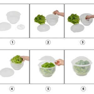 Lettuce Keeper | Vegetable and Fruit Crisper | Lettuce Crisper Salad Keeper Container Keeps your Salads and Vegetables Crisp and Fresh-7" X 8"- by Home-X