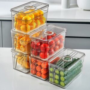 transparent with handle kitchen drain box basket fruit vegetable food refrigerator frozen storage box food container