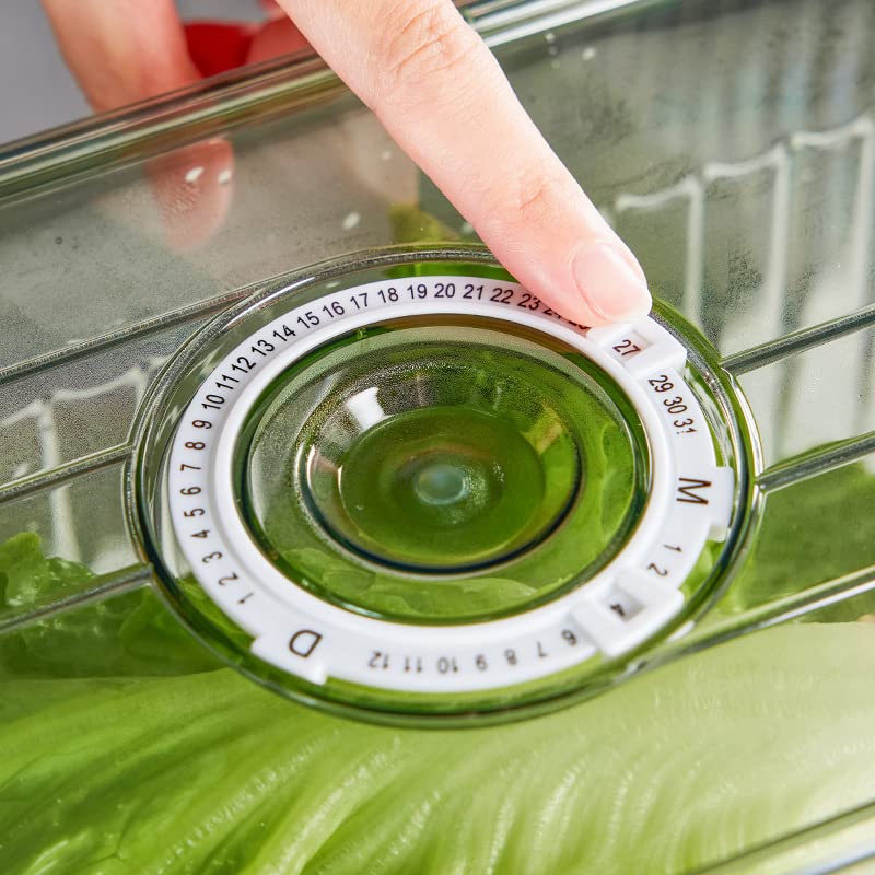 Transparent with handle kitchen drain box basket fruit vegetable food refrigerator frozen storage box food container