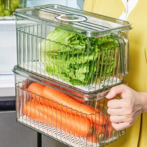 Transparent with handle kitchen drain box basket fruit vegetable food refrigerator frozen storage box food container