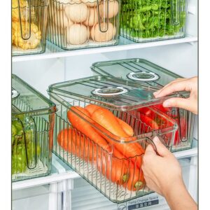 Transparent with handle kitchen drain box basket fruit vegetable food refrigerator frozen storage box food container