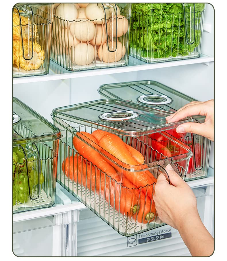 Transparent with handle kitchen drain box basket fruit vegetable food refrigerator frozen storage box food container