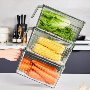 Transparent with handle kitchen drain box basket fruit vegetable food refrigerator frozen storage box food container