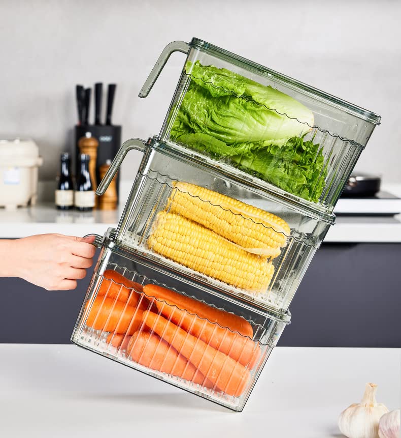 Transparent with handle kitchen drain box basket fruit vegetable food refrigerator frozen storage box food container