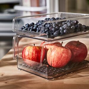 Spectrum Diversified Hexa in-Fridge Large Refrigerator Bin for Storage and Organization of Fruit Vegetables Produce and More, 15 x 6 x 4.25, Clear/Dark Gray