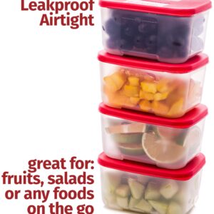 Quicker Defrost- Reusable Freezer Containers with Lids Set of 4-23.5 oz. for Soups, Leftovers, Meal Prep, Food Storage Airtight Food Storage Containers With Lids Plastic Freezer Containers Jars