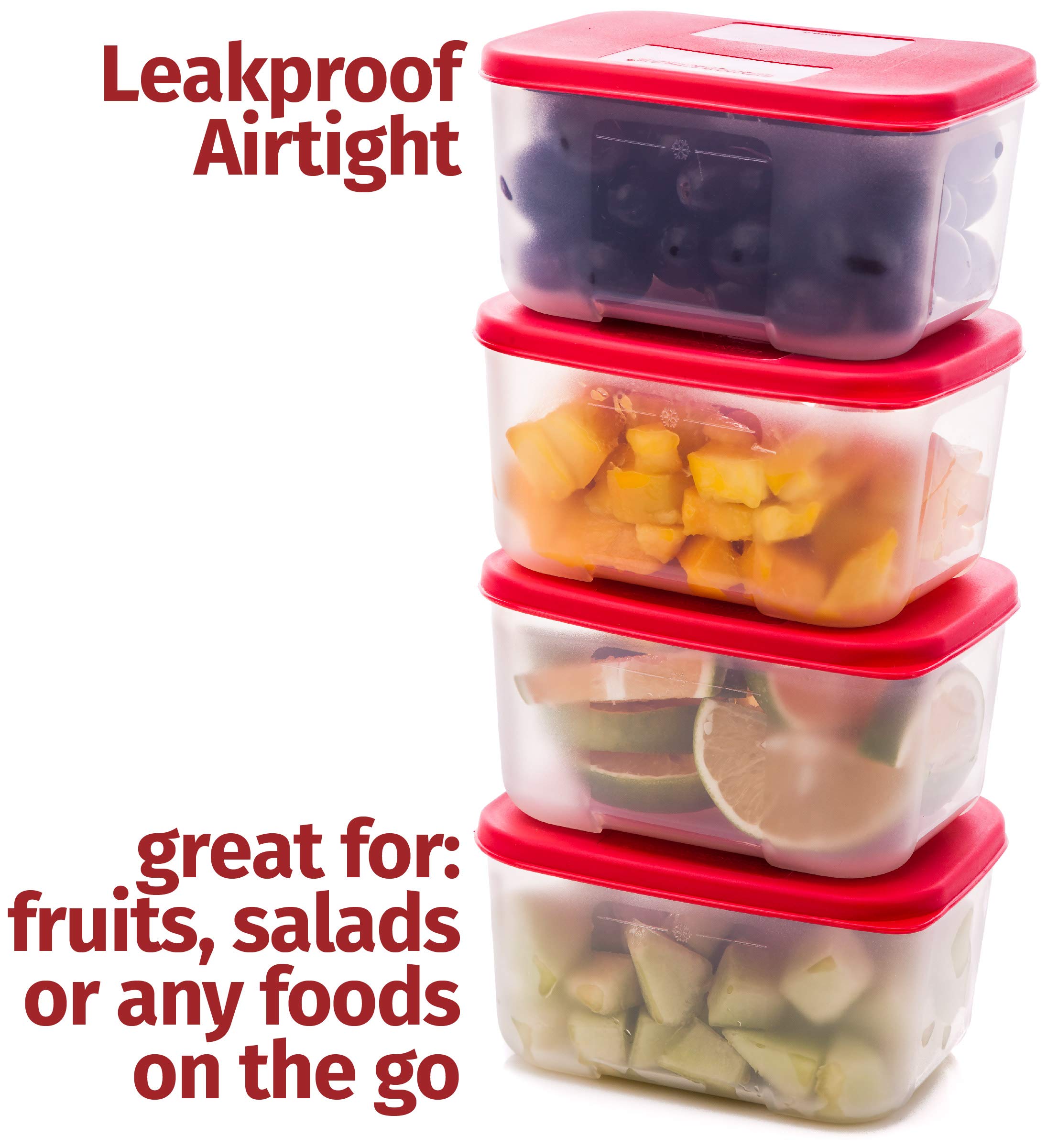 Quicker Defrost- Reusable Freezer Containers with Lids Set of 4-23.5 oz. for Soups, Leftovers, Meal Prep, Food Storage Airtight Food Storage Containers With Lids Plastic Freezer Containers Jars