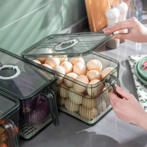 Zerodeko Plastic Storage Bins Food Storage Containers Colander with Lid Handle Fridge Trays Refrigerator Egg Organizer for Organizing Kitchen Food Snack Pantry Cabinet