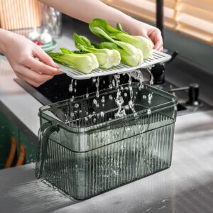 Zerodeko Plastic Storage Bins Food Storage Containers Colander with Lid Handle Fridge Trays Refrigerator Egg Organizer for Organizing Kitchen Food Snack Pantry Cabinet