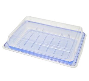 togotainer |100/pack pet blue togo sushi container with lid take out food salad cookie cake tray 7.25 x 5 inch