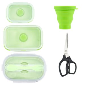 generic silicone lunch box with spoon, fork, and travel cup set, 5 pcs