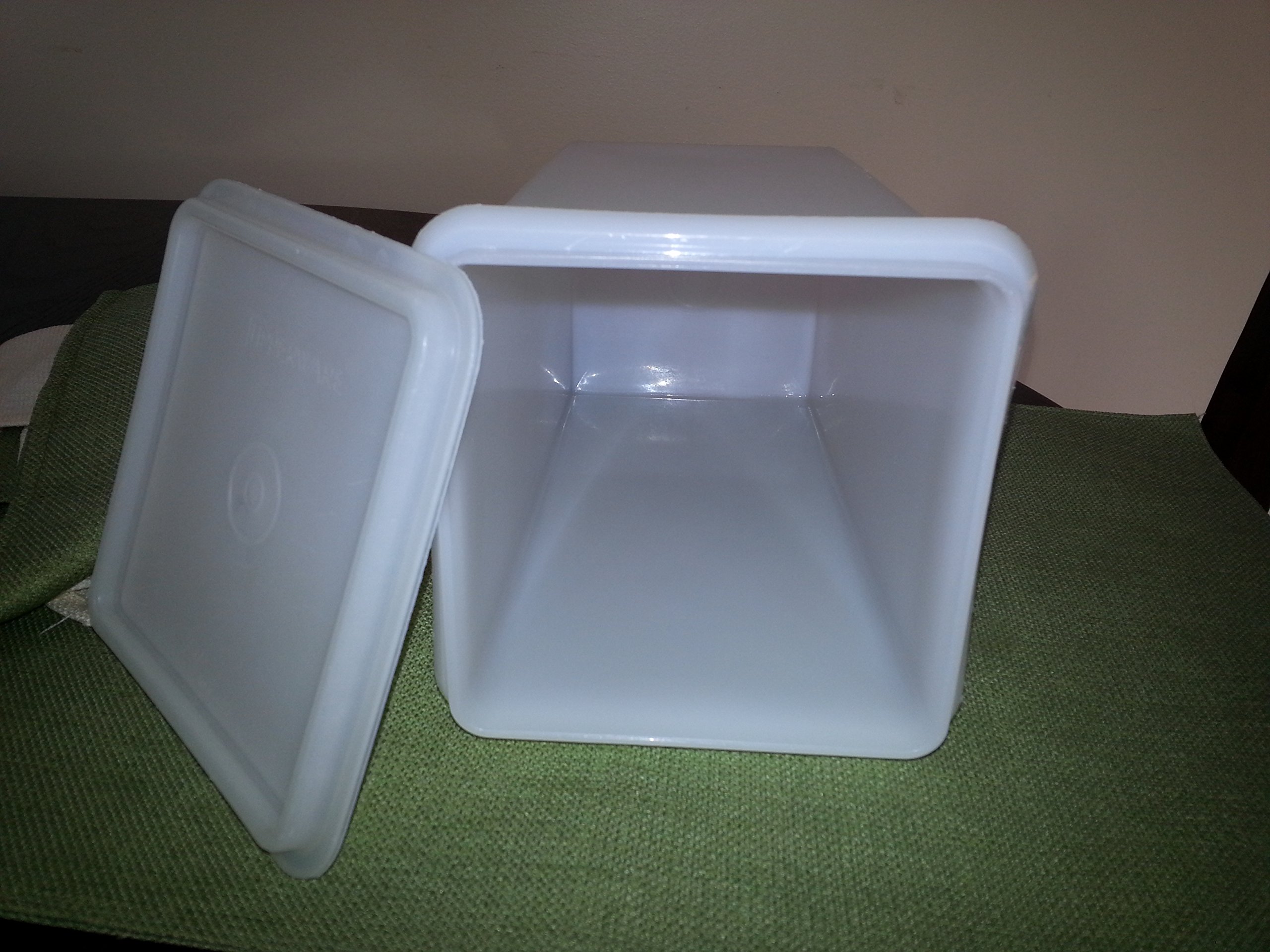 Tupperware Vintage Cracker Keeper Container with Sheer Lid