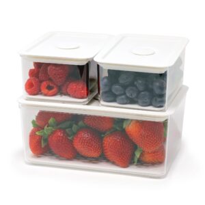refrigerator organizer bins with removable drain tray for fruits and vegetables, produce saver, small and medium storage containers, 3-piece set, clear, dishwasher safe, bpa-free, stackable fridge bin