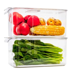 SANNO Produce Saver Refrigerator Organizer Bins with Lids And Removable Drain Tray Food Storage Container Fridge Stackable Freezer Bins For Kitchen Produce Fruit Vegetable (Set of 2)