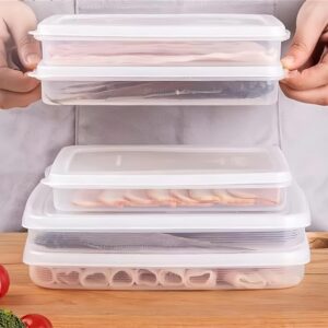 wulikanhua 2 Pack Plastic Bacon Box, Deli Meat Saver Cold Cuts Fridge Keeper, Cheese Food Storage Container with Lid for Refrigerator, Shallow Low Profile Christmas Cookie Holder