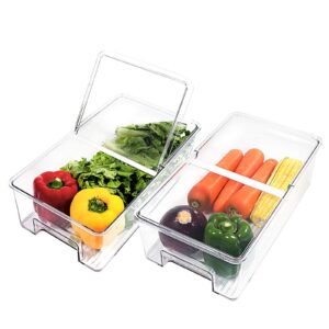 elabo food storage containers fridge produce saver- stackable refrigerator organizer keeper drawers bins with lids, fridge organizers and storage for vegetables, berry and fruits, bpa-free, 2 pack