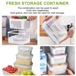 Fruit Storage Containers For Fridge,Fridge Organizers and Storage Include Drain Baskets & Lid,Food Storage Containers for Salad Berry Lettuce Food Meat Fish Celery