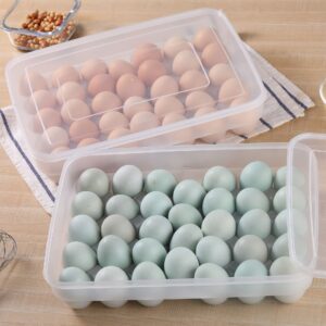 BEVOVBE Egg Holder For Refrigerator，Egg Storage Container Cartons Plastic Fridge Organizer Bins，Kitchen Freezer Deviled Egg Tray Containers With Lid Stackable 1pack