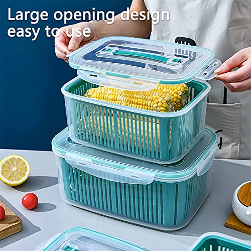 QBOMB Fruit Storage Containers for Fridge, Produce Saver Vegetable Container with Drain Colanders Fridge Organizer Case with Removable Drain Plate, Stackable Refrigerator Food Grade Safe,M