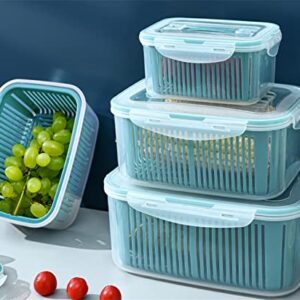 Fruit Storage Containers for Fridge, 5 Sizes, with Drain Basket and Lid, Suitable for Kitchen, Refrigerator Fruit and Vegetable Storage,XL/5800ML