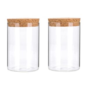 vasana 2pcs glass food storage containers 300ml/10oz kitchen storage containers with cork lids empty clear glass bottles for coffee bean dry goods tea storage