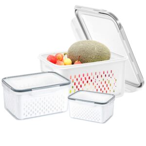 Mochalight 3Pcs Refrigerator Fresh Storage Containers Double-Layer Organizer,2 in 1 Fruit Vegetable Storage Containers Double-Layer Draining Fresh Box for Kitchen Refrigerator