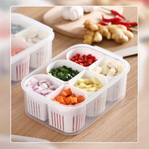 MISNODE Reusable Veggie Tray with Lid, 6-Compartment Divided Snack Box Container & Fridge Organizer, Meal Prep Spice Case, Divided Food Storage Containers, Chilled Condiment Server & Vegetable Organizer