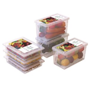 silivo 6 pack produce saver containers for refrigerator - 3 pack 2.5l + 3 pack 4.5l