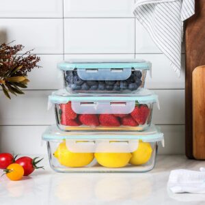 WHOLE HOUSEWARES | Glass Food Storage Containers Meal Prep Pack of 3 in Different Sizes | Food Storage Containers Glass With Lids Airtight | For Meal Prep and Fruit