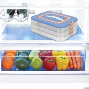 Zerodeko Freezer Containers Refrigerator Organizer Food Storage Containers Transparent Dumpling Box 3 Layer for Kitchen Fridge Blue Spaghetti Container