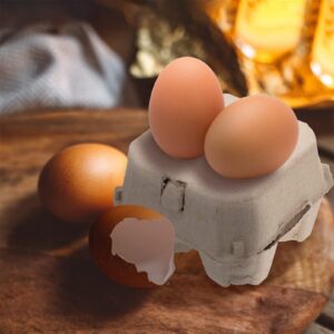 Zerodeko 100 pcs pulp egg tray egg paper carton egg carton for farm pulp paper egg tray egg transport holder egg holder for refrigerator mini eggs empty egg carton blank packing supplies