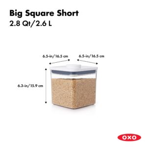 OXO Good Grips 6 Piece Canister Set with Scoops + OXO Good Grips POP Airtight Food Storage Container