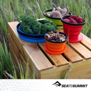 Sea to Summit X-Seal & Go Collapsible Food Storage Container, 2-Pack (S + L), Olive