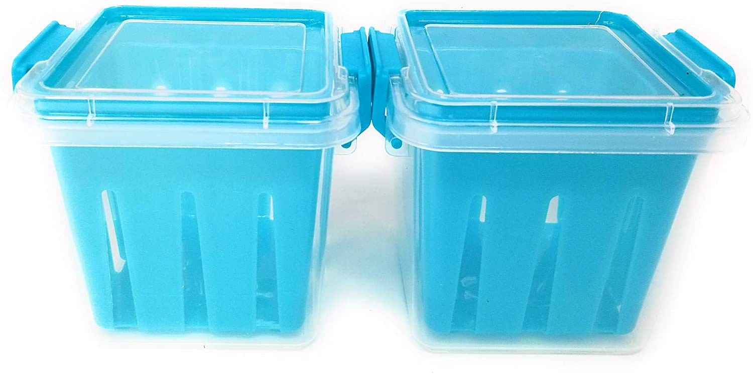 Fruit and Veggie Vegetable Basket Food Storage Container BPA Free 2 Pack TEAL/LIGHT BLUE