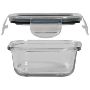 Mason Craft & More Leak Proof Glass BPA Free Plastic Locking Lid Food Storage container, 24 OUNCE SET, Clear