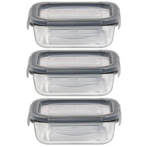 Mason Craft & More Leak Proof Glass BPA Free Plastic Locking Lid Food Storage container, 24 OUNCE SET, Clear