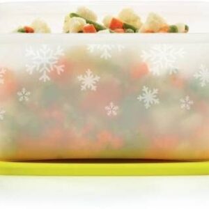 Tupperware Plastic Utility Freezer Container 2.5 L (Multicolor)