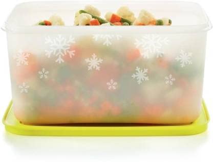 Tupperware Plastic Utility Freezer Container 2.5 L (Multicolor)