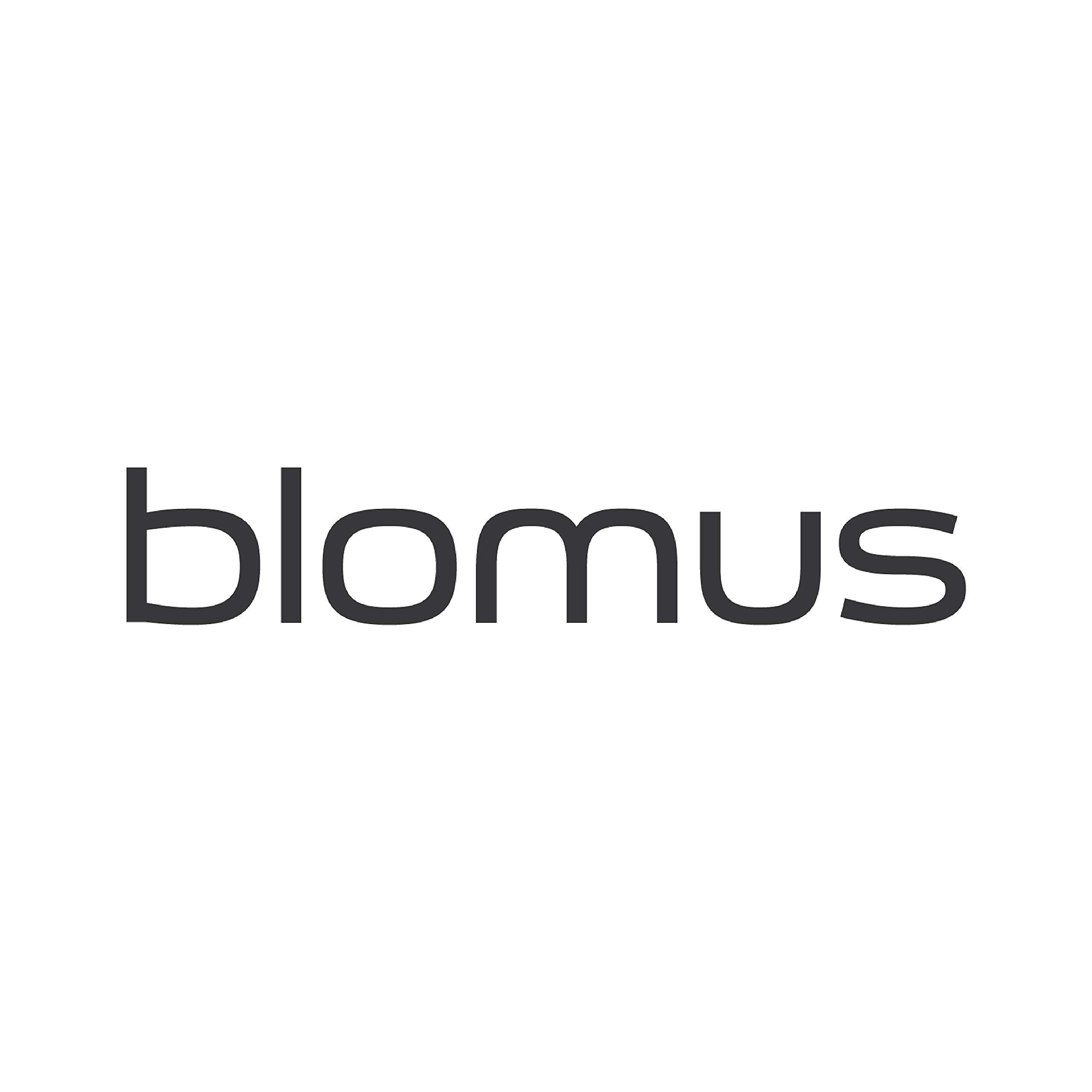 Blomus Basic Milk Container with Lid, 9.7 x 6.6 x 7.5 cm, Brushed Stainless Steel