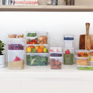 Decor Tellfresh food storage containers & measuring scoop, this stackable four storage container features a graduation scale, stackable plastic food containers