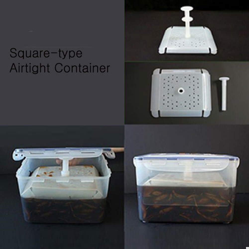 Nurumi Circle & Square Food Fermentation Storage Convenient Airtight Container (Square)