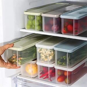 2PCS Noodle Storage Box, Plastic Pasta Storage Container Kitchen Spaghetti Food Storage Box with Lid Fridge Airtight Organizer for Noodles, Eggs, Fruits Snacks (Blue&Green)